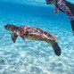 gallery-img