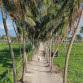 gallery-img